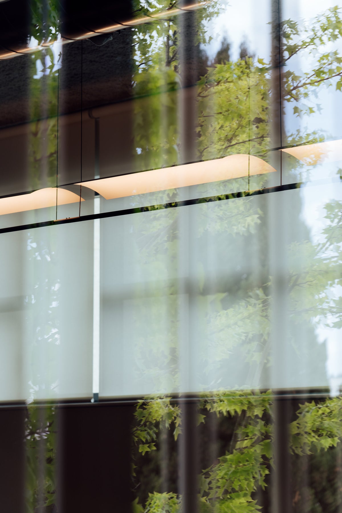 Lamina 45 / 85 Hanging Lamp