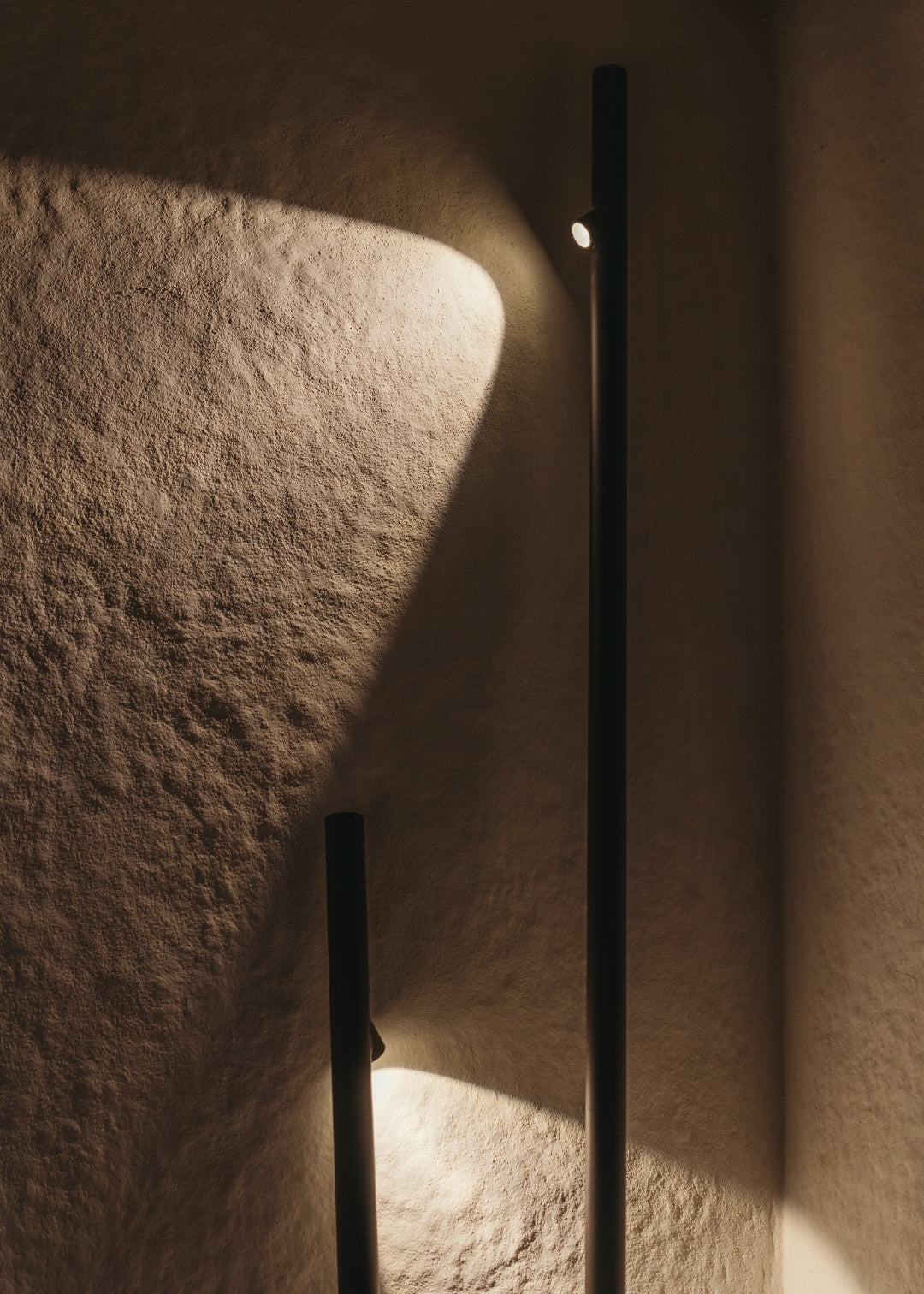 Bamboo 4804