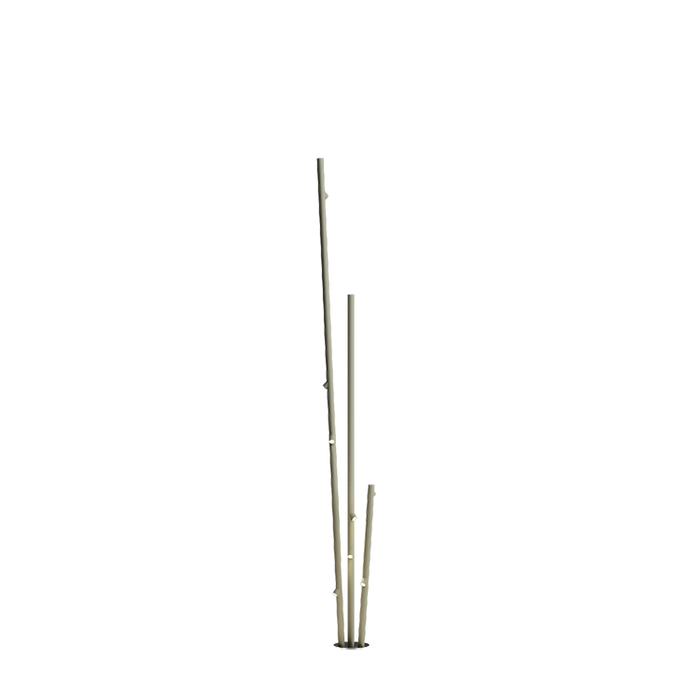 Bamboo 4812