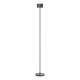 FAROL Mobile Rechargeable LED Floor Lamp - Metallic Finish