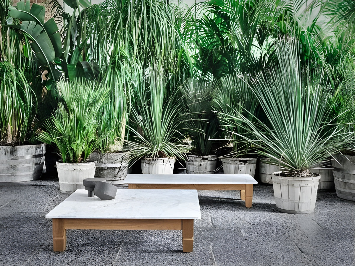 Jeko Coffee Table 11