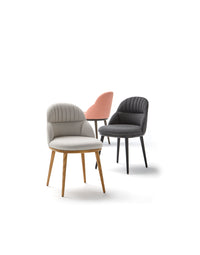 Cricket Dining Chair