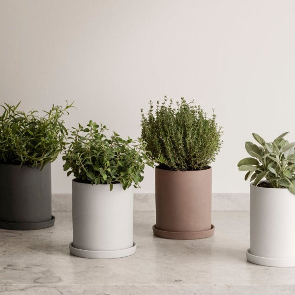 NONA Porcelain Herb Pot