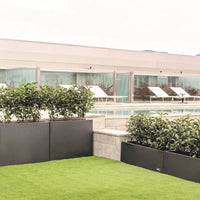 Ferrum Tall and Narro