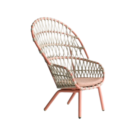 Chair 8 Peacock (Display Sale)