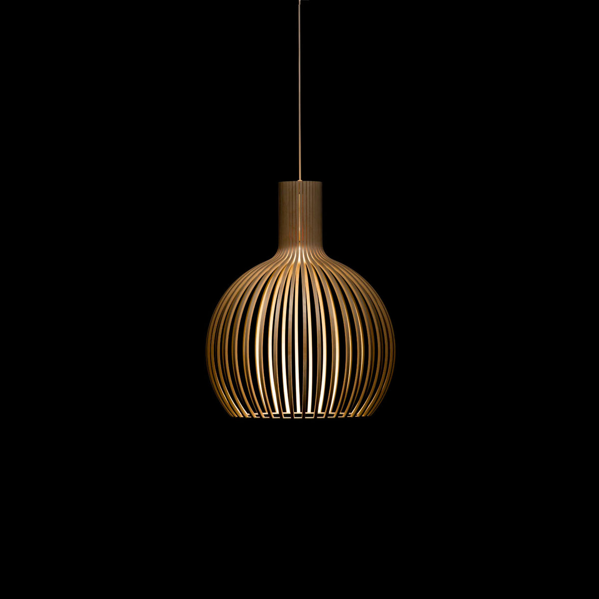 Octo Small 4241