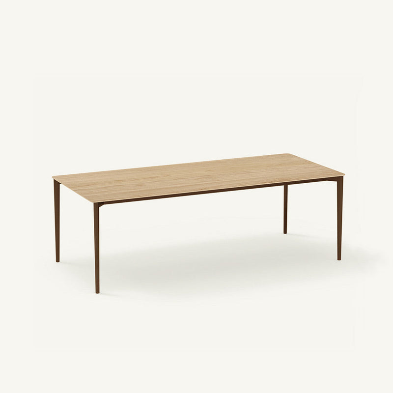 Nude Indoor Rectangular Dining Table