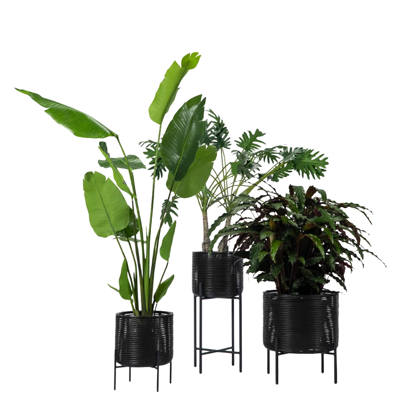 Ivo Plant Stand