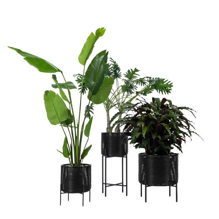 Ivo Plant Stand