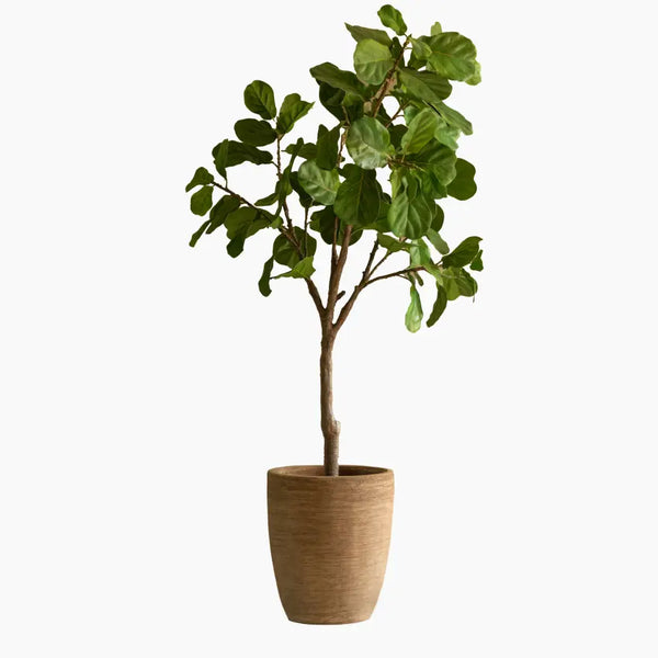 Saya Plant Pot Oval
