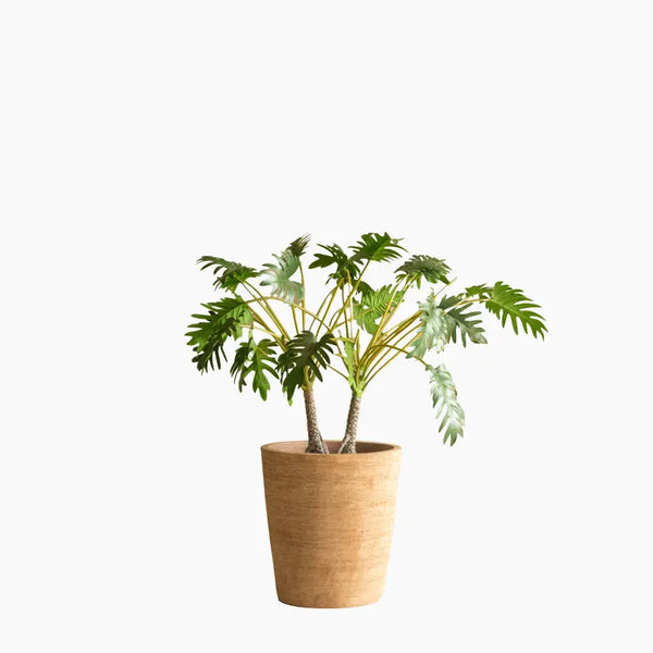 Saya Plant Pot Conic