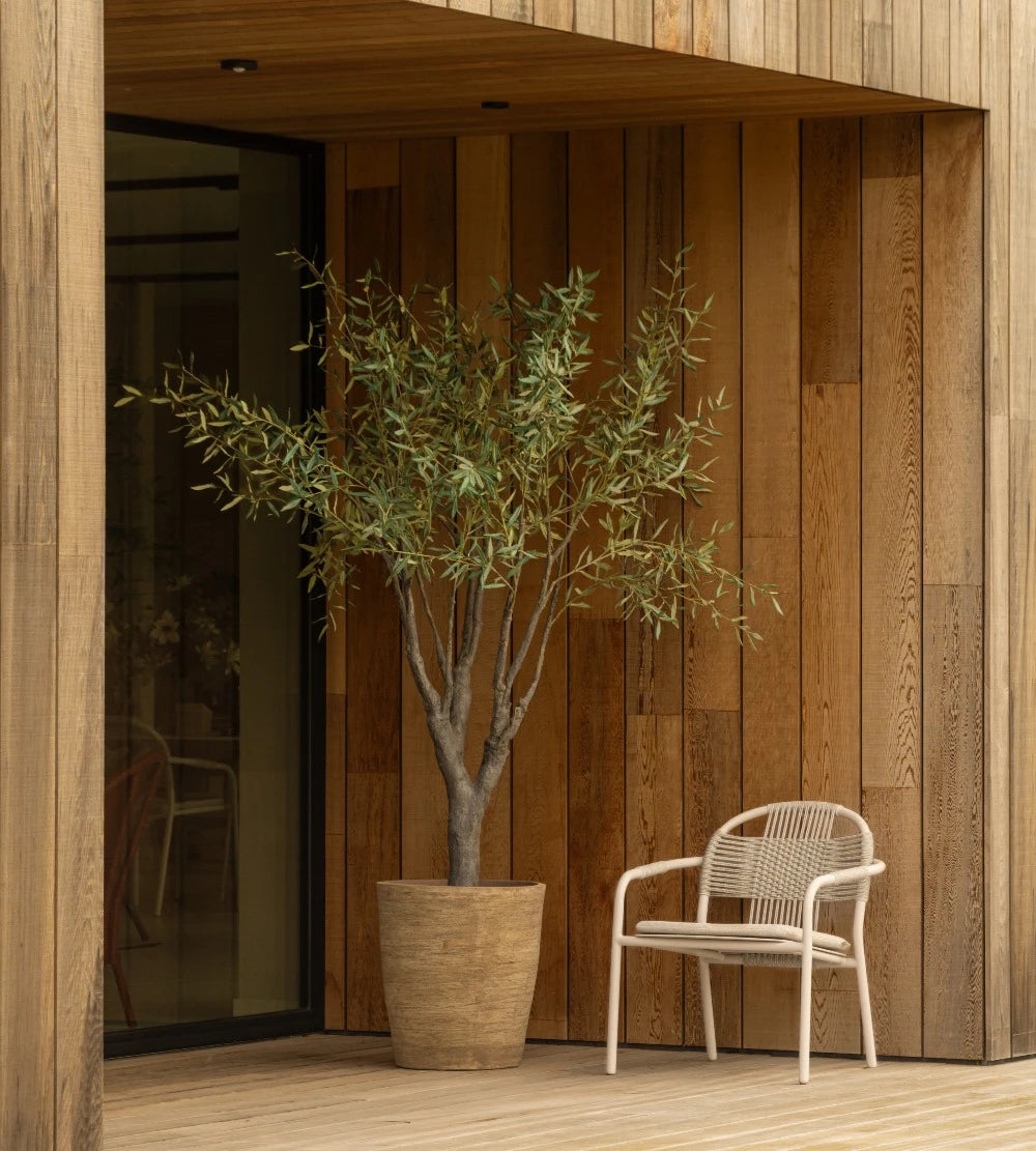 Cleo Lounge Chair