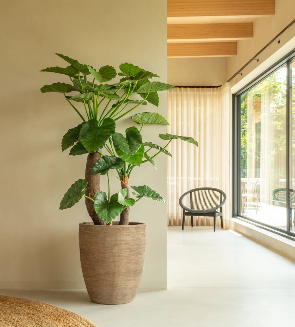 Saya Plant Pot Oval