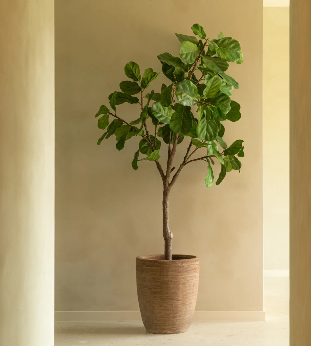 Saya Plant Pot Oval