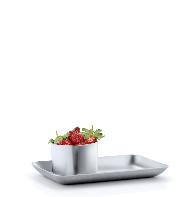 BASIC Stainless Steel Tray