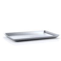 BASIC Stainless Steel Tray
