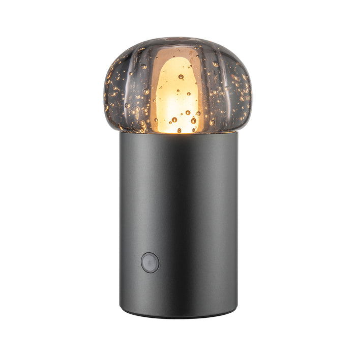 IRIS Lamp Mobile Rechargeable LED