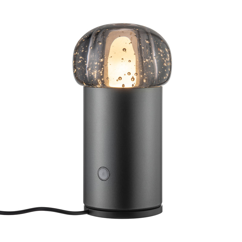 IRIS Lamp Mobile Rechargeable LED