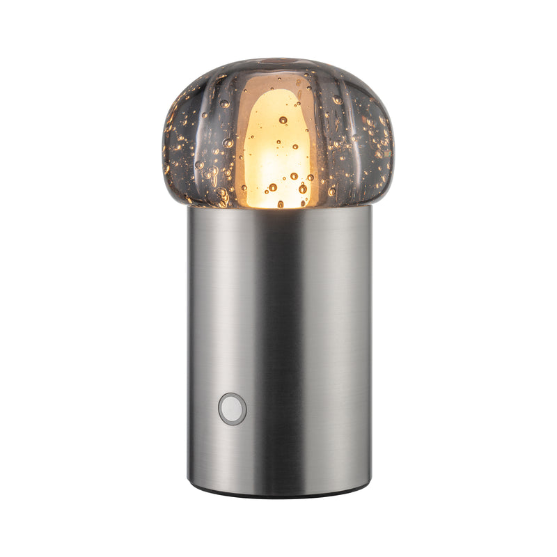 IRIS Lamp Mobile Rechargeable LED