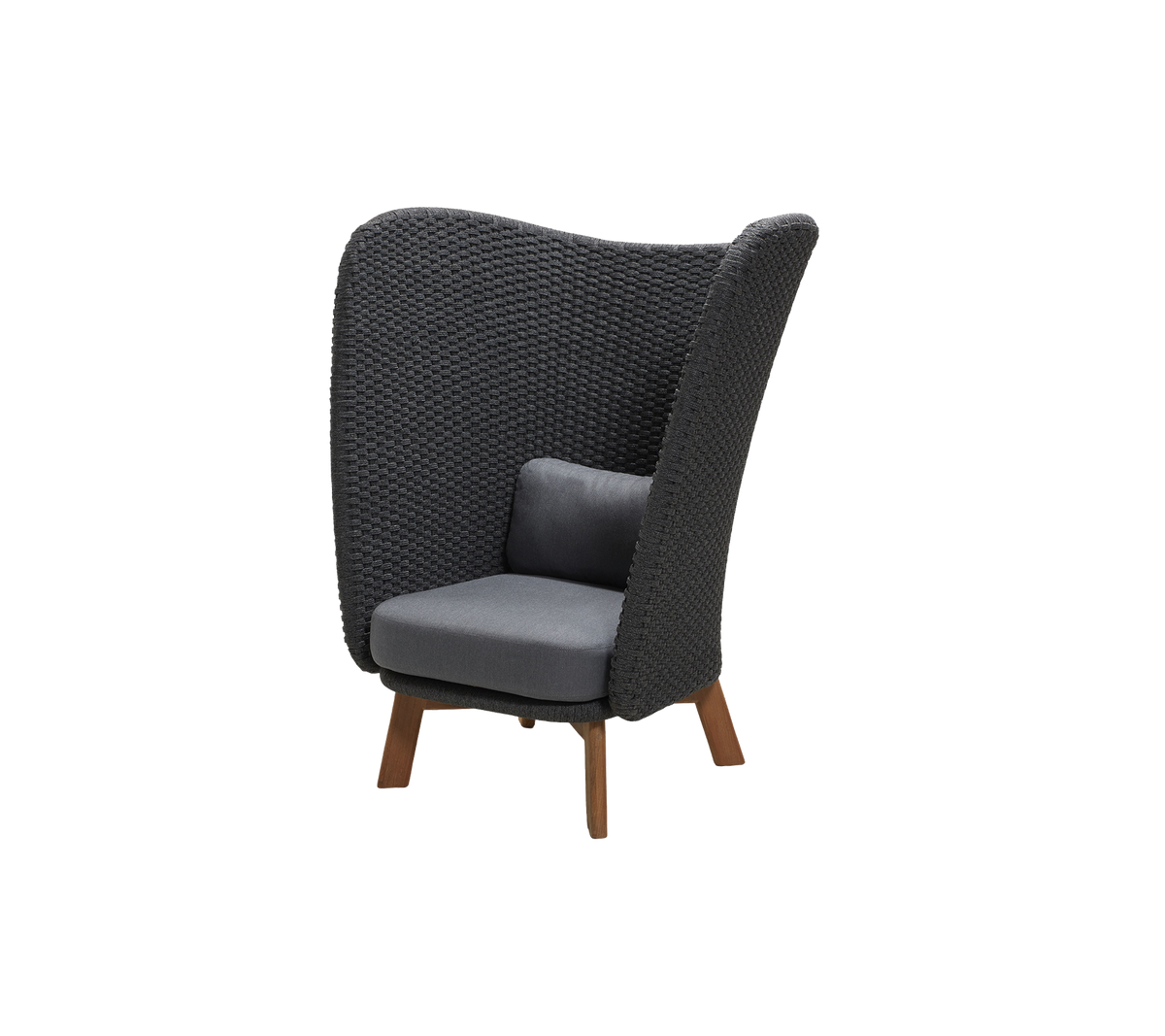Peacock Wing highback chair by Cane-line