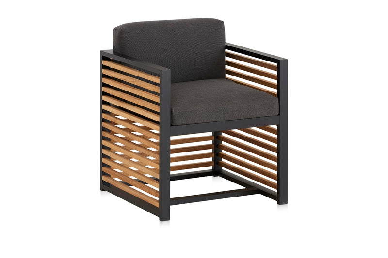 DNA Teak Armchair