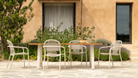 Cleo Dining Chair