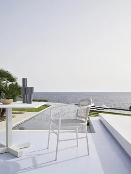 Colette 26
