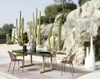 Inout Decorative Bottle