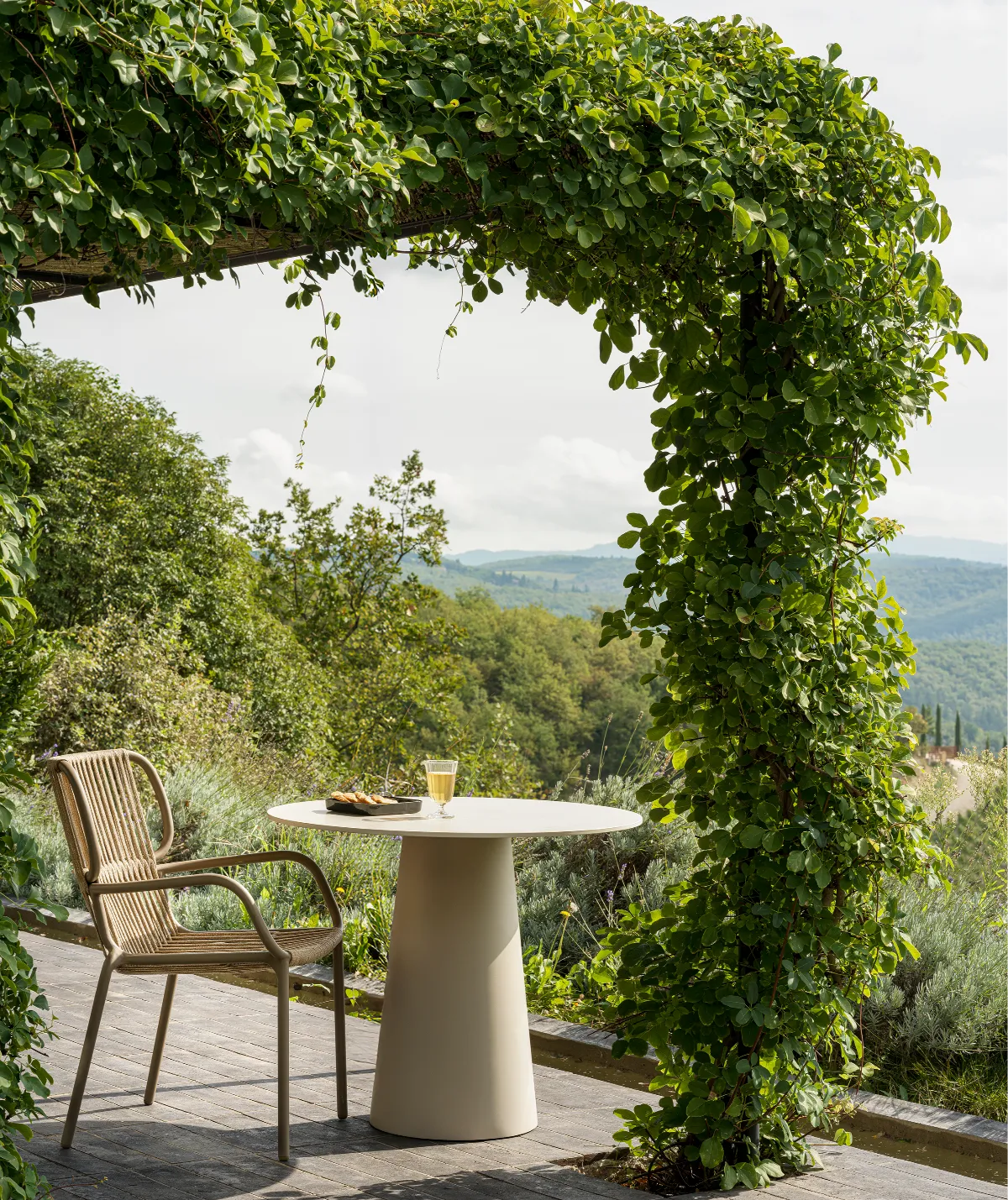 Ribbon Dining Chair