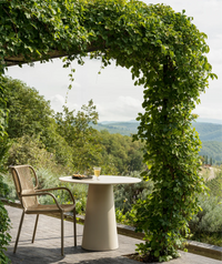 Ribbon Dining Chair