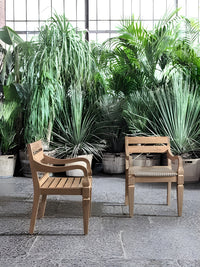 Jeko Armchair 24
