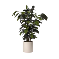 Ventus Planter Medium outdoor planter by SKLD Studio, designed by Belén Burguete