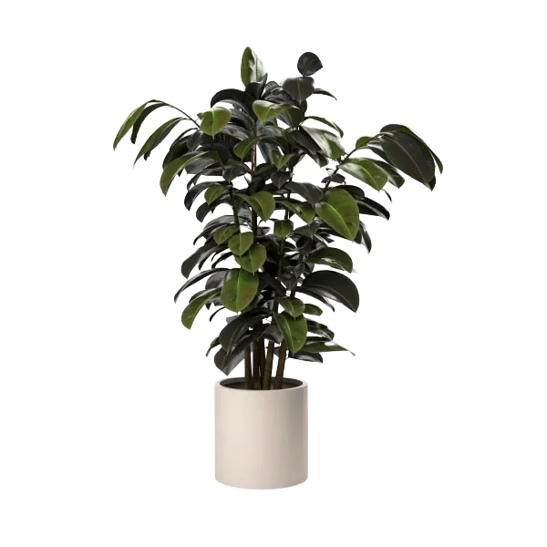 Ventus Planter Medium outdoor planter by SKLD Studio, designed by Belén Burguete