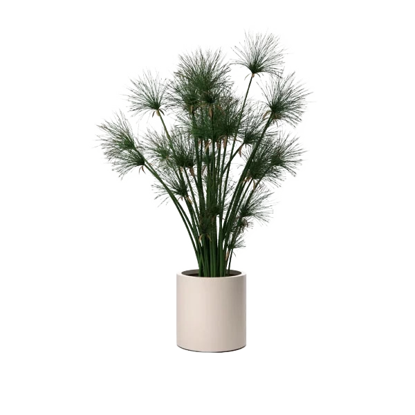Ventus Planter Small outdoor planter by SKLD Studio, designed by Belén Burguete