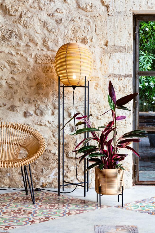 Vincent Sheppard Vivi Plant Stand plant cruz manufacturer photograph
