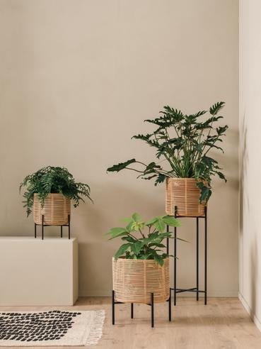 Vincent Sheppard Vivi Plant Stand plant lifestyle 1 manufacturer photograph