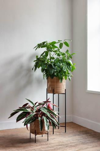 Vincent Sheppard Vivi Plant Stand plant lifestyle 2 manufacturer photograph